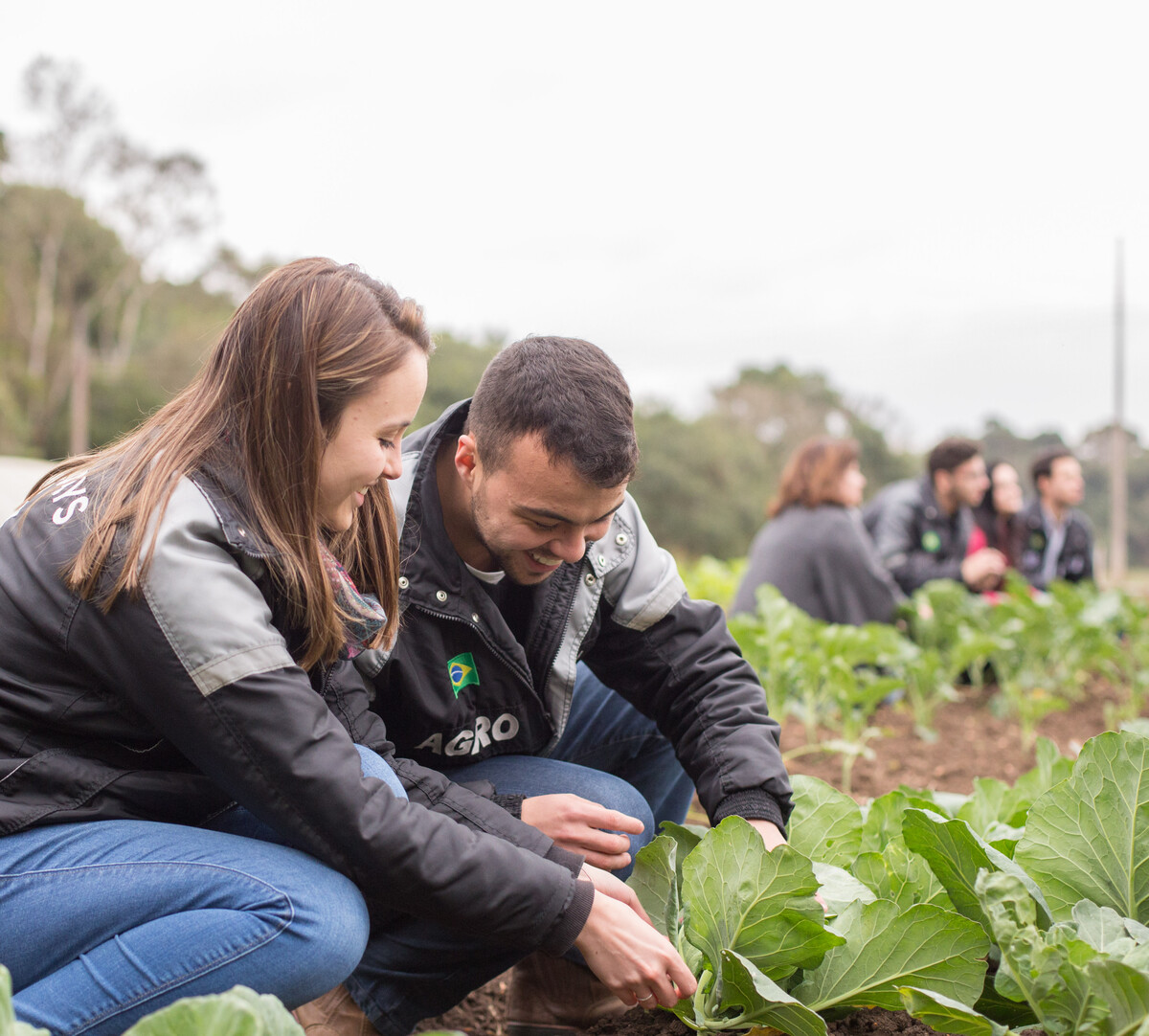 Curso de Agronomia veja aonde essa graduação pode levar você PUCPR Curso de Agronomia veja aonde essa graduação pode levar você PUCPR